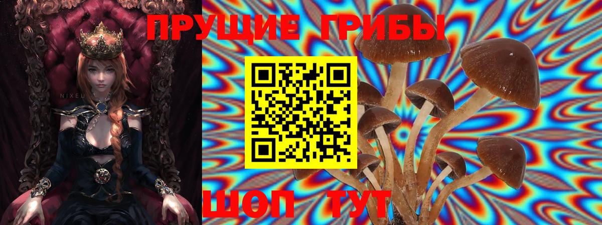 Первоуральск  Псилоцибиновые грибы мухоморы  Вход с VPN 